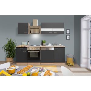 Küchenzeile 'Merle' mit E-Geräten KB220ESGS grau/eichefarben 220 cm