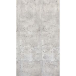 Vliestapete 'CosmoLiving by Cosmopolitan' Concrete Betonwand grau 3-teilig 1,59 x 2,8 m