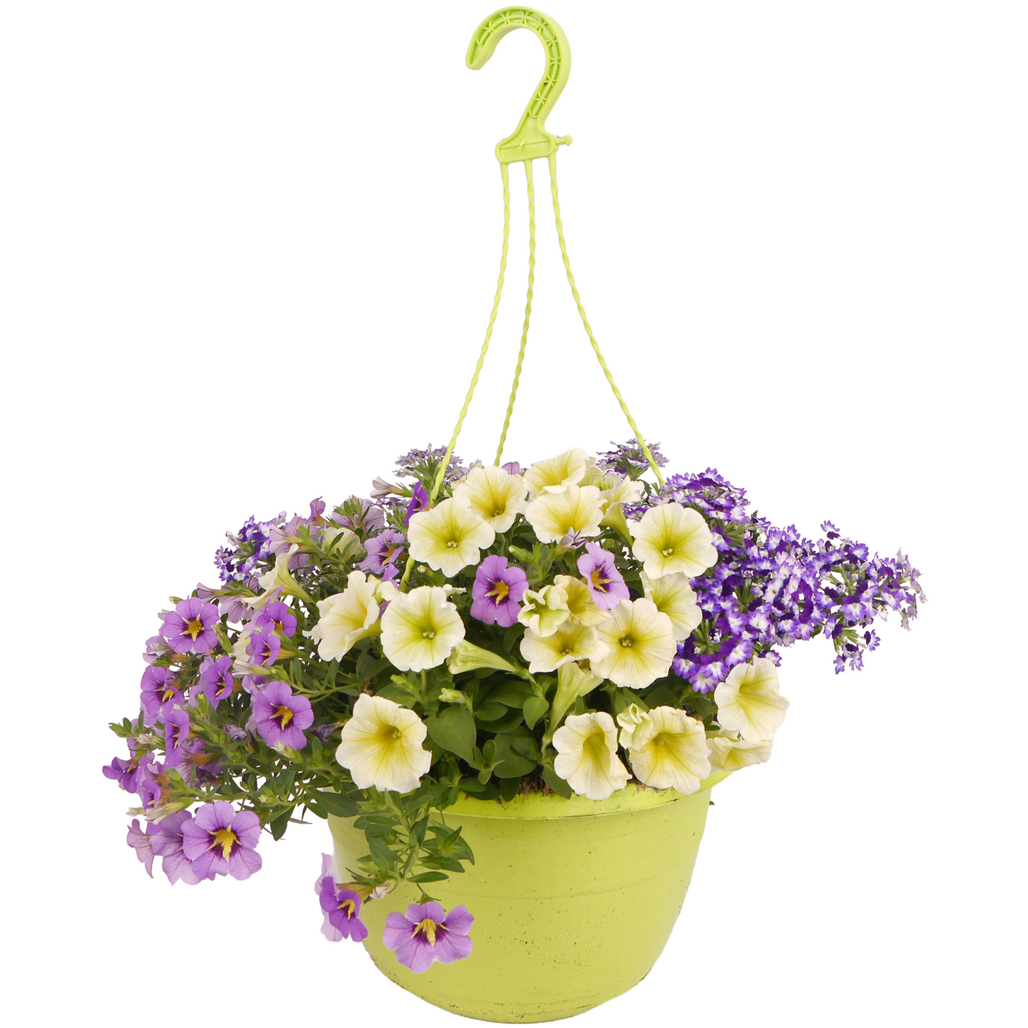 Ampel-Mix 'Confetti Garden™' 27 cm Topf