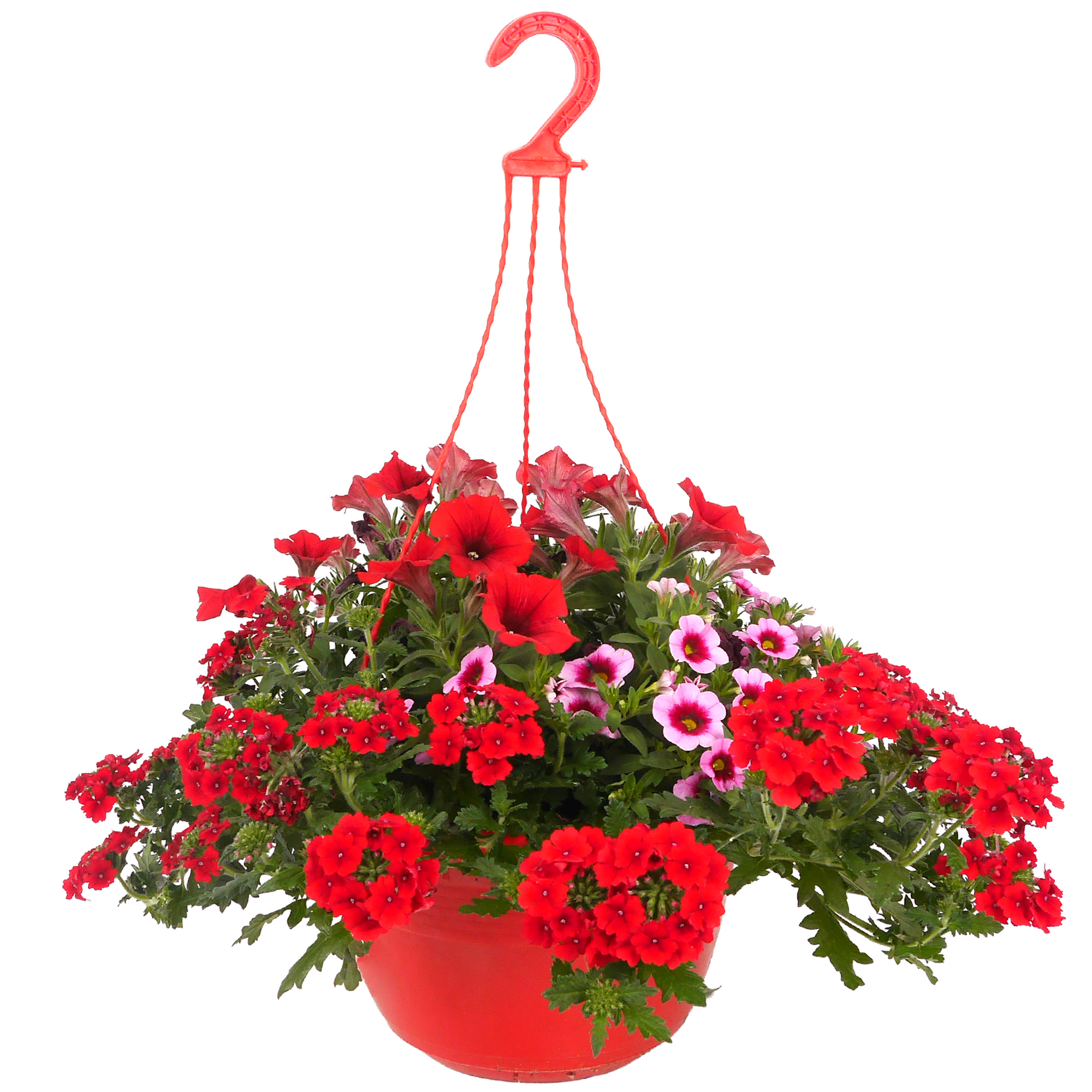 Ampel-Mix 'Confetti Garden™' 27 cm Topf