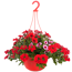 Ampel-Mix 'Confetti Garden™' 27 cm Topf