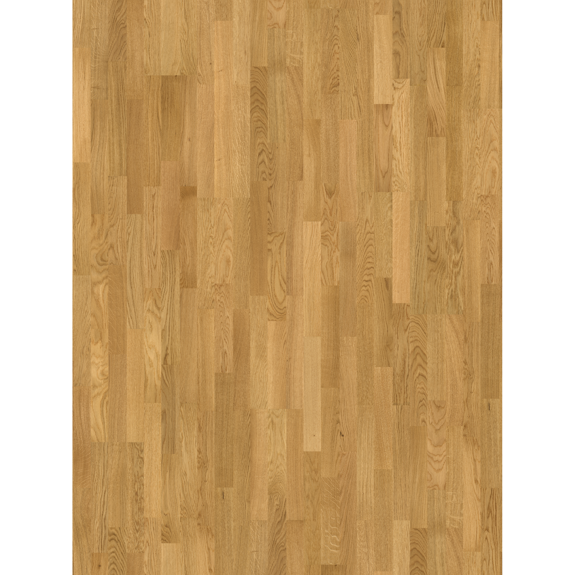 Parkett 'Basic 11-5' Natur Eiche lackversiegelt matt 11,5 mm