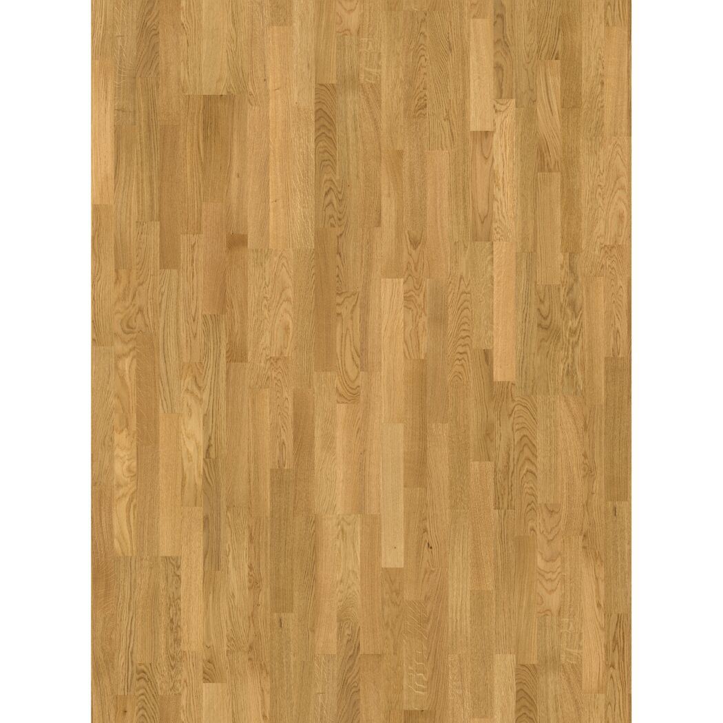 Parkett 'Basic 11-5' Eiche Natur lackversiegelt matt 11,5 mm