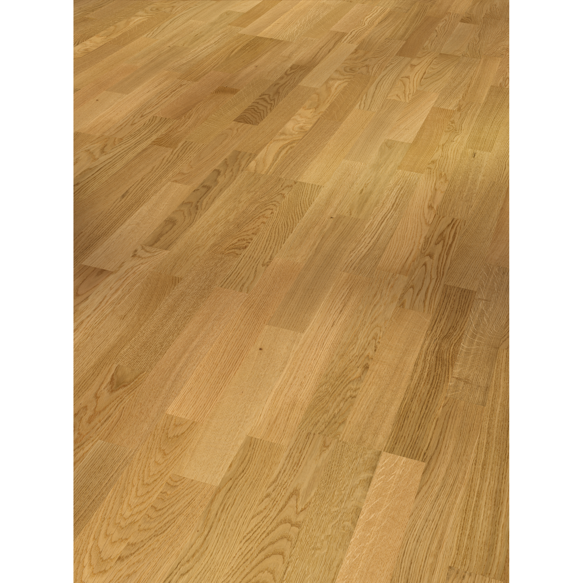 Parkett 'Basic 11-5' Natur Eiche lackversiegelt matt 11,5 mm