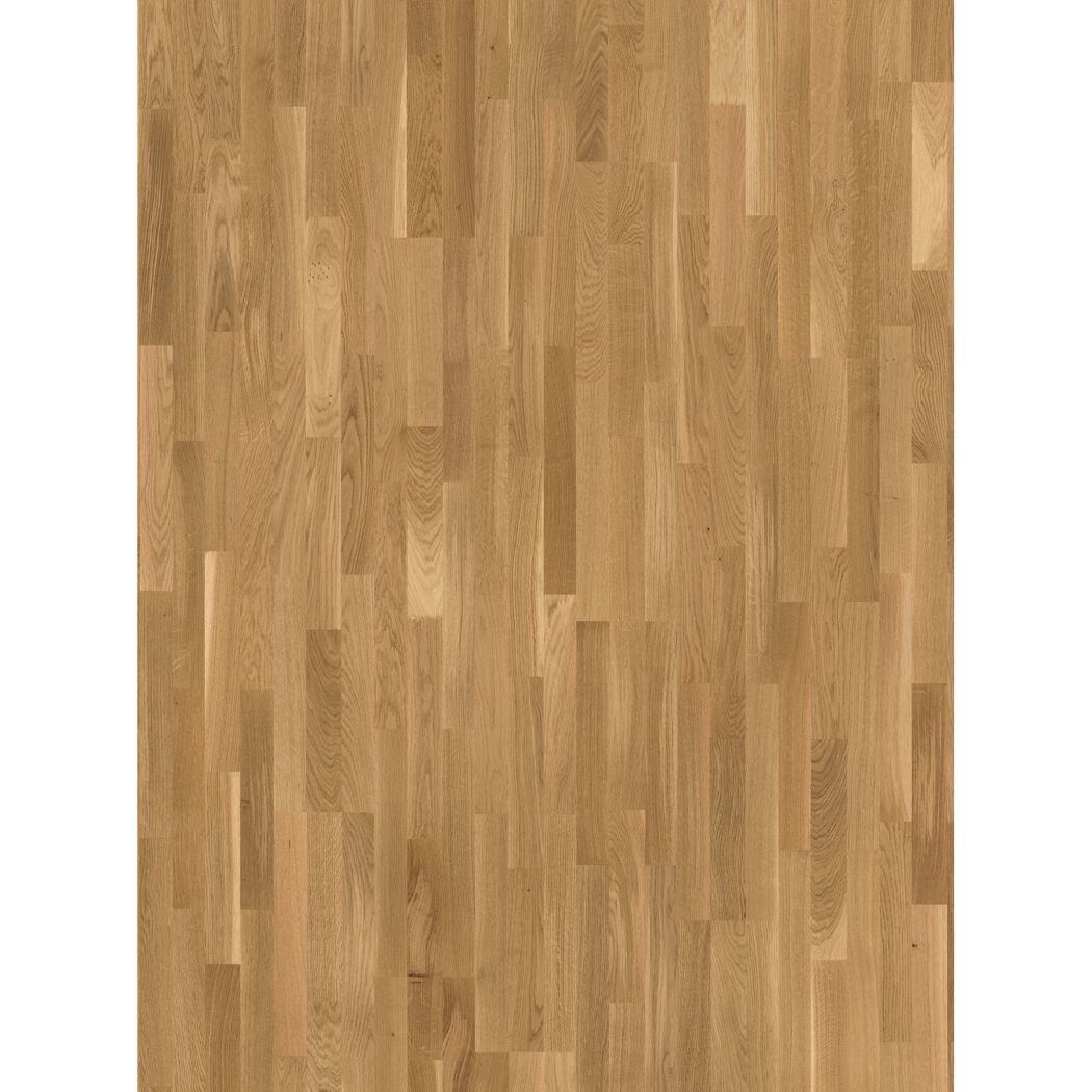 Parkett 'Basic 11-5' Eiche Rustikal lackversiegelt matt 11,5 mm