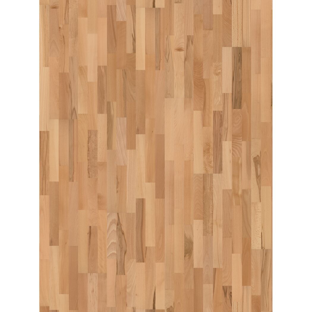 Parkett 'Basic 11-5' Buche Rustikal lackversiegelt matt 11,5 mm