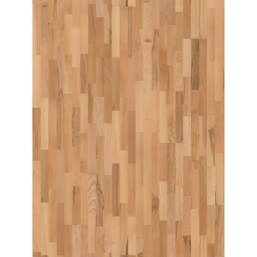 Parkett 'Basic 11-5' Buche Rustikal lackversiegelt matt 11,5 mm