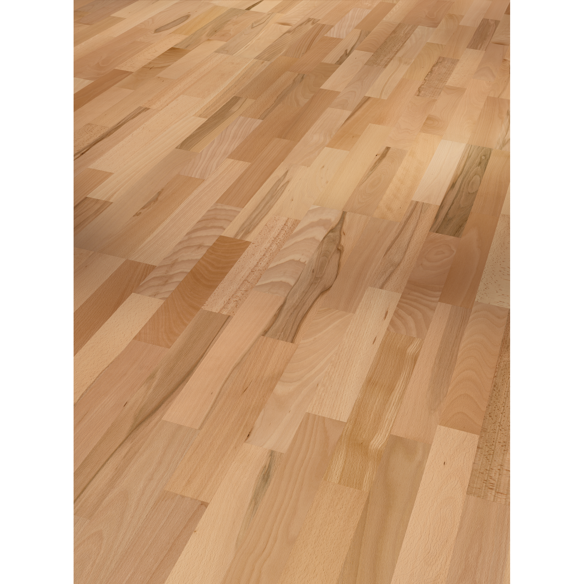 Parkett 'Basic 11-5' Rustikal Buche lackversiegelt matt 11,5 mm