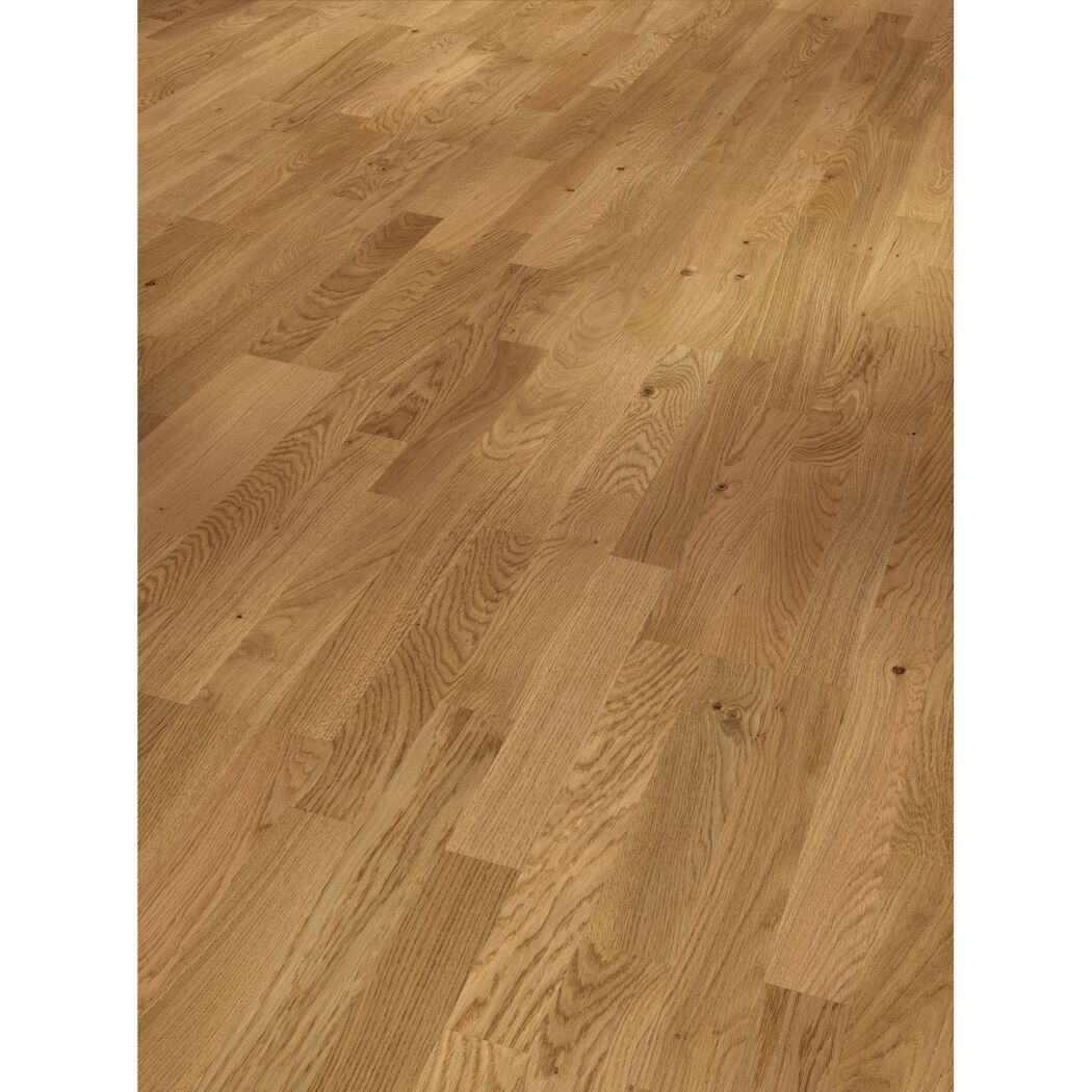 Parkett 'Basic 11-5' Eiche astig lackversiegelt 11,5 mm