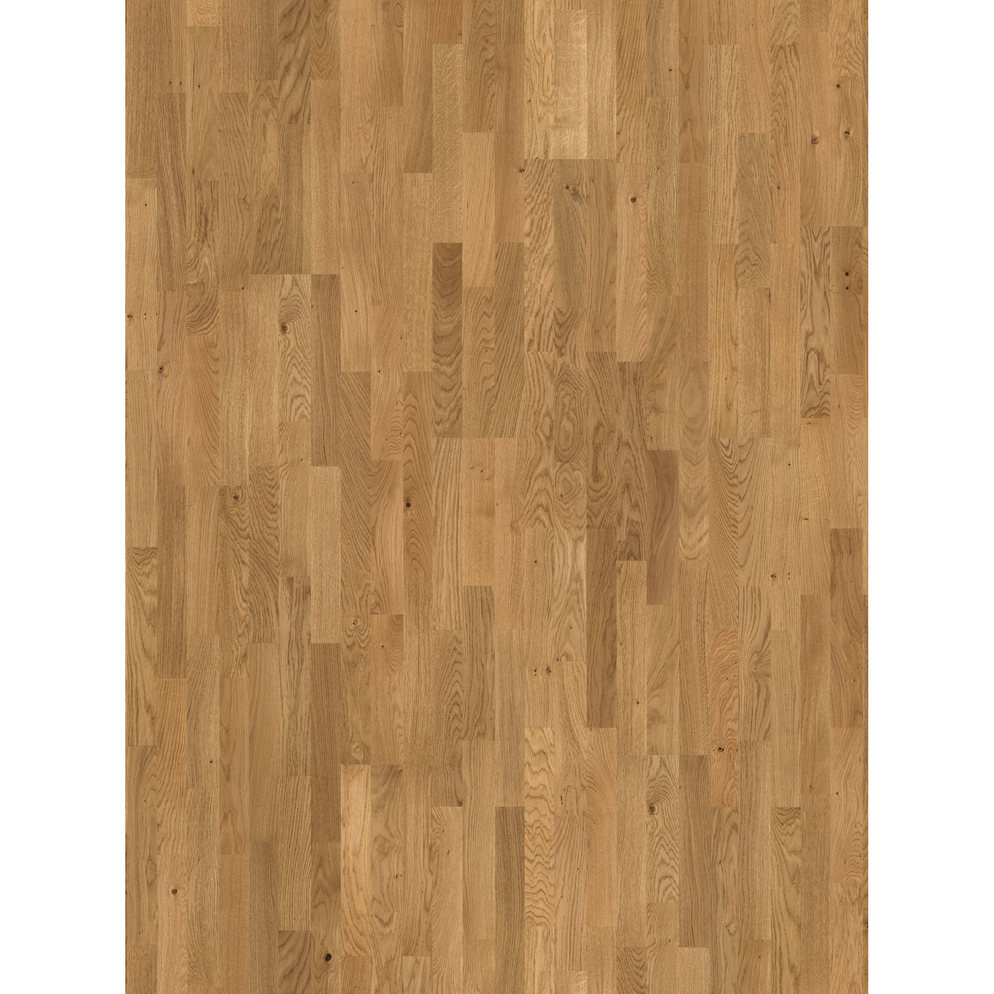 Parkett 'Basic 11-5' Eiche Rustikal naturgeölt matt braun 11,5 mm