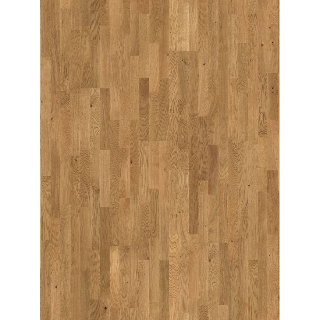 Parkett 'Basic 11-5' Eiche astig lackversiegelt 11,5 mm