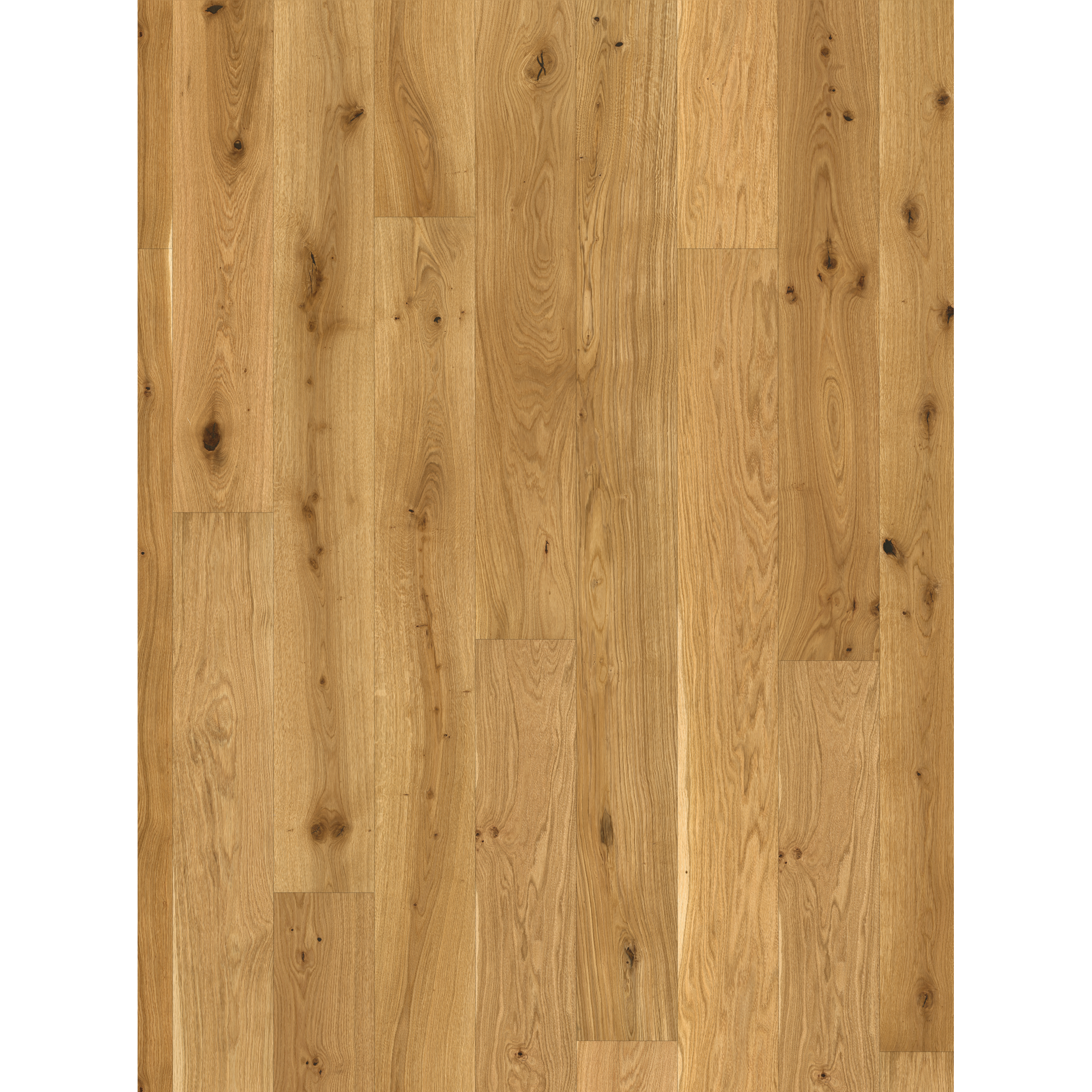 Parkett 'Basic 11-5' Rustikal Eiche gebürstet naturgeölt 11,5 mm