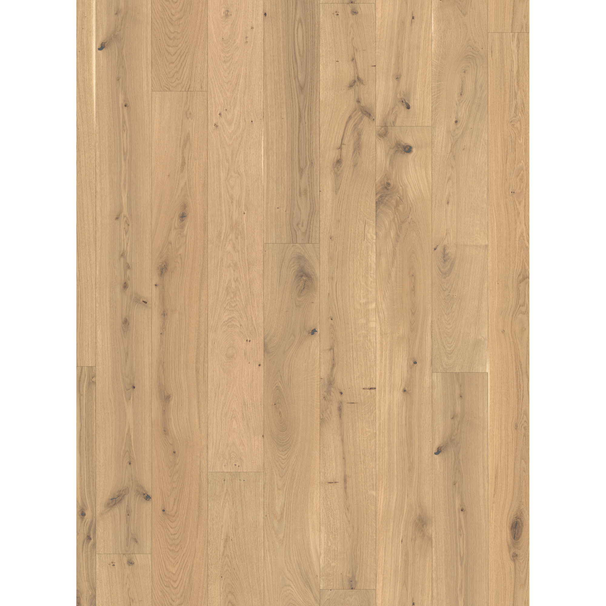 Parkett 'Basic 11-5' Eiche Rustikal gebürstet naturgeölt 11,5 mm