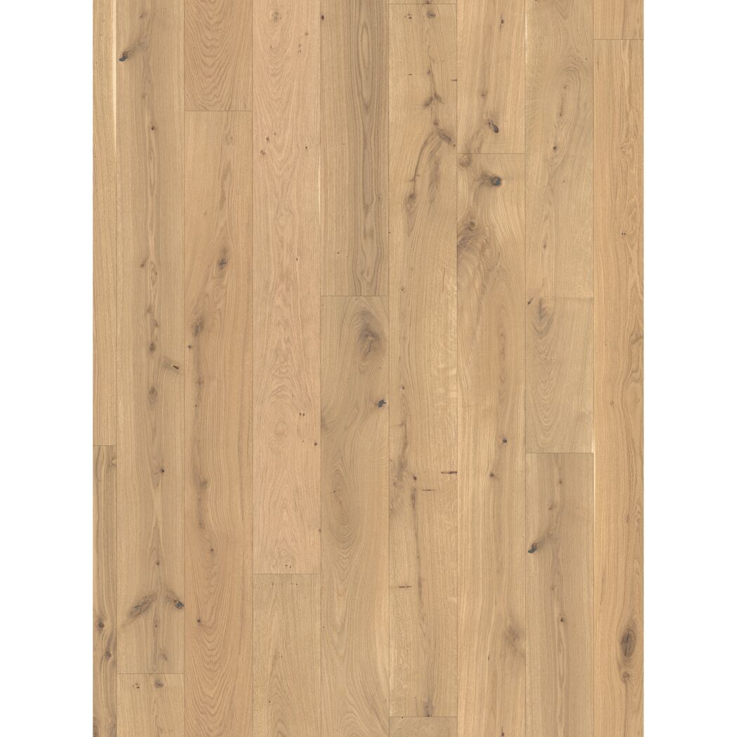 Parkett 'Basic 11-5' Eiche Rustikal hell gebürstet naturgeölt 11,5 mm