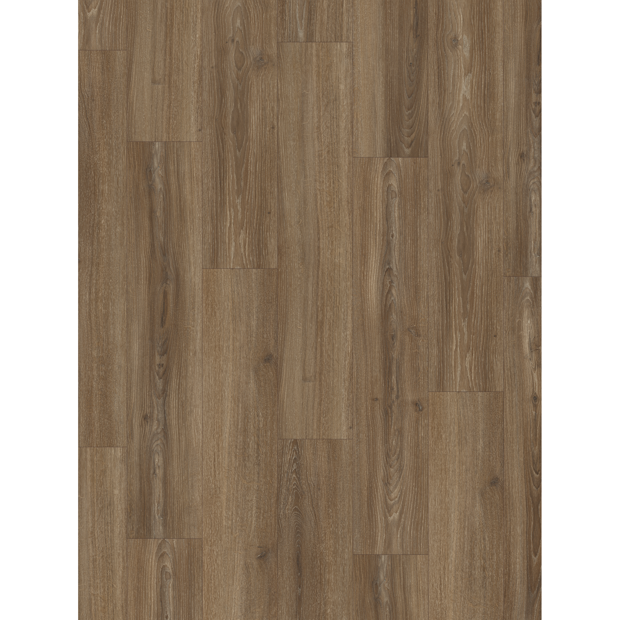 Laminat 'Basic 600' Eiche Studioline braun 8 mm