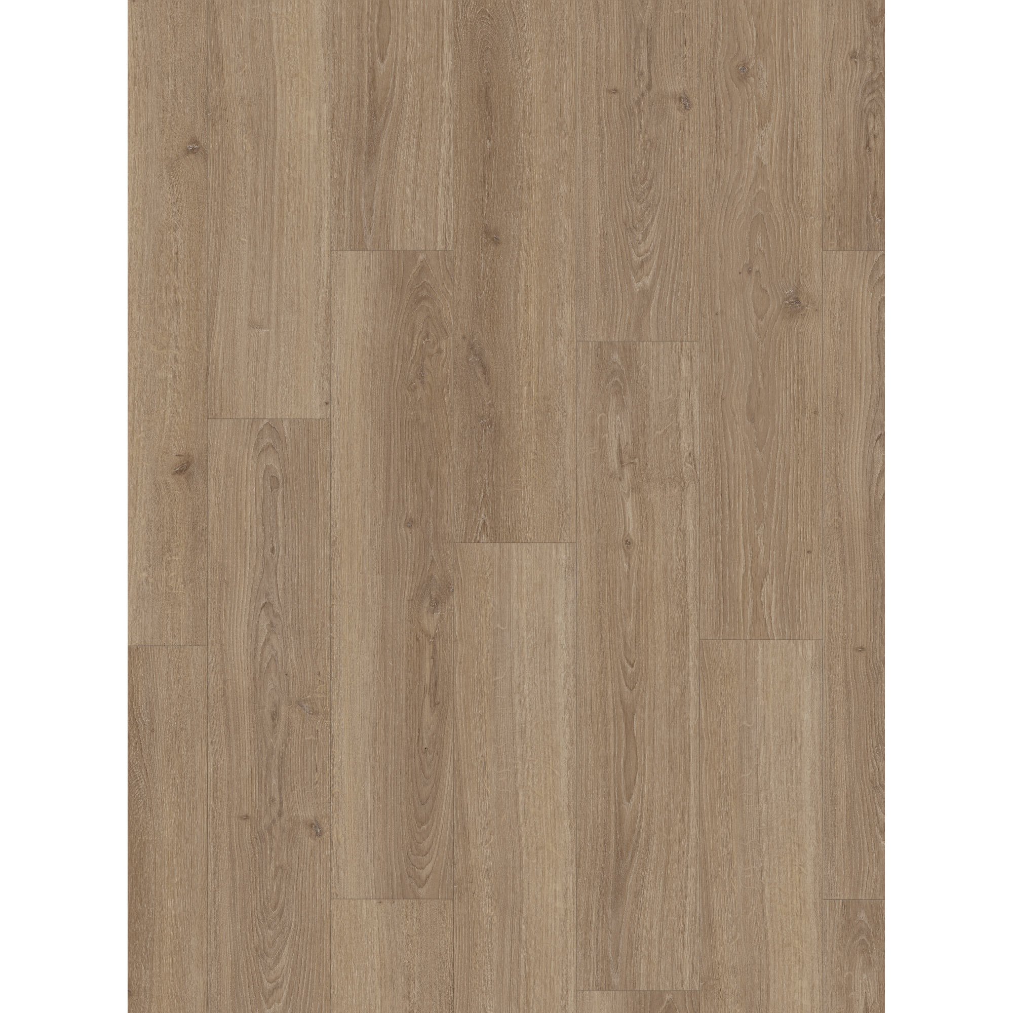 Laminat 'Basic 600' Eiche Studioline macchiato 8 mm