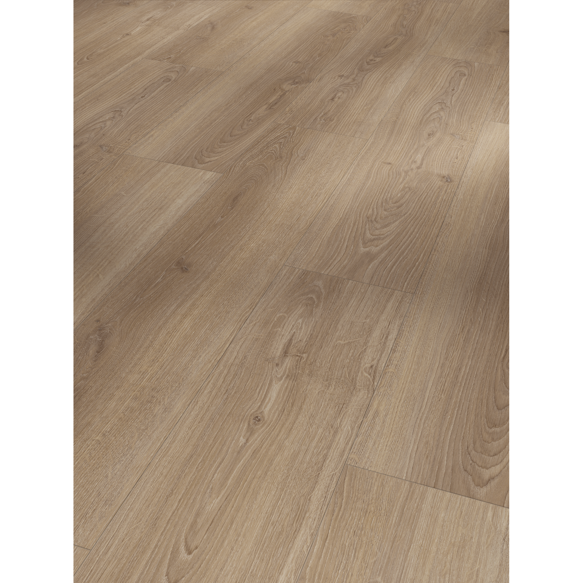 Laminat 'Basic 600' Eiche Studioline macchiato 8 mm