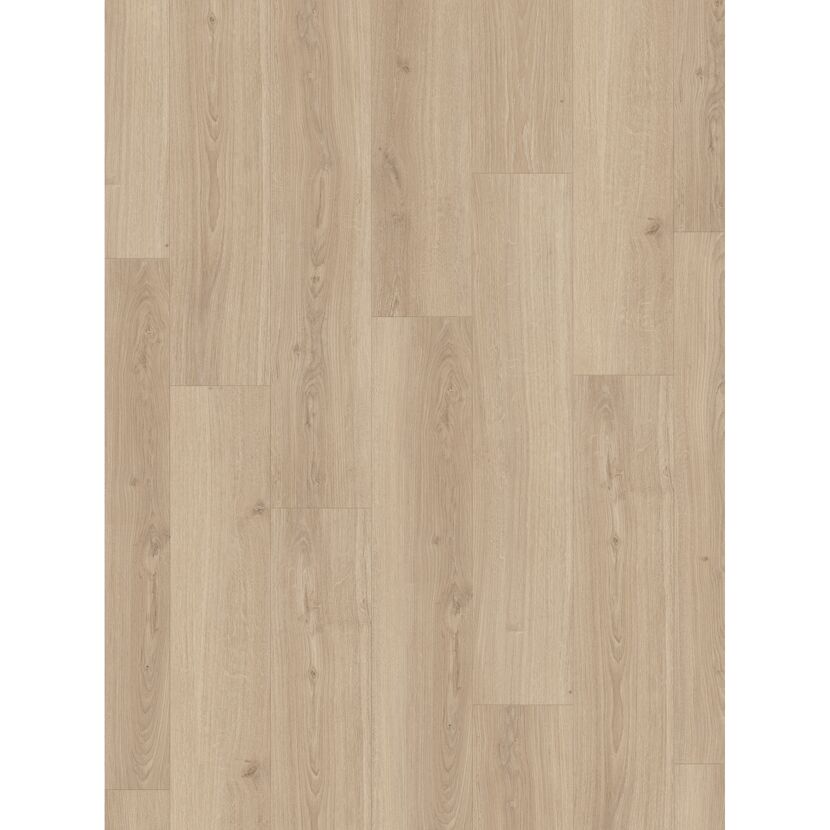 Laminat 'Basic 600' Eiche Studioline natur 8 mm