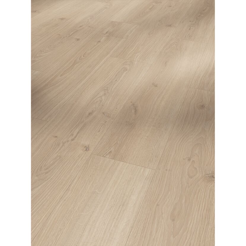 Laminat 'Basic 600' Eiche Studioline natur 8 mm