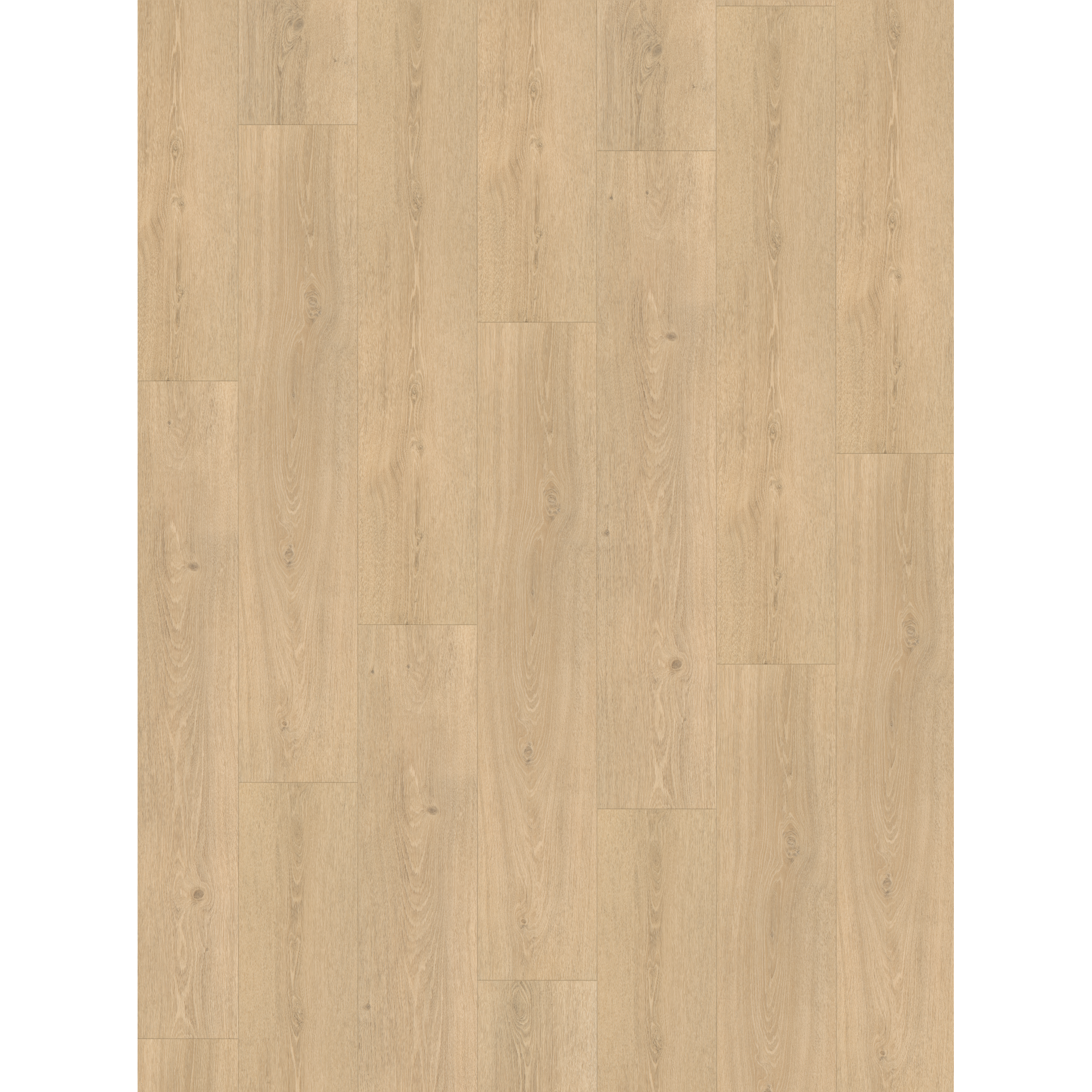 Designboden 'Basic 5.3' Eiche Studioline braun geschliffen 5,3 mm