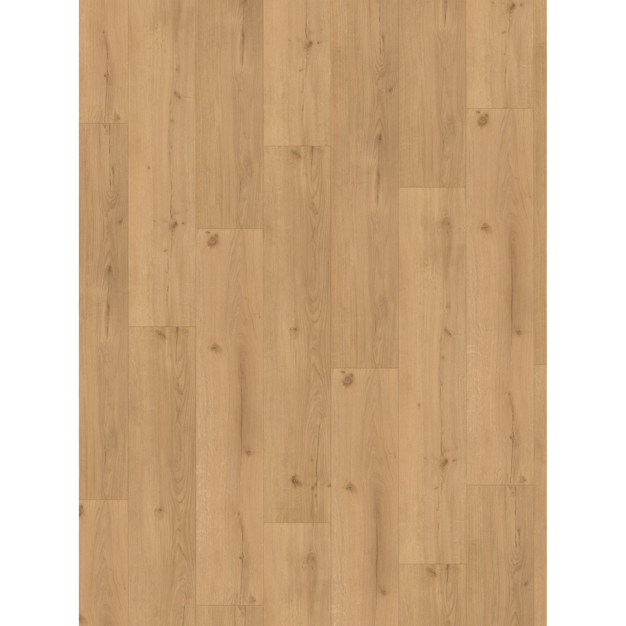 Designboden 'Basic 5.3' Eiche Infinity natur braun 5,3 mm