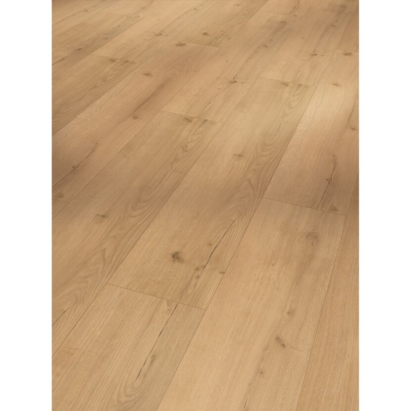Designboden 'Basic 5.3' Eiche Infinity natur braun 5,3 mm