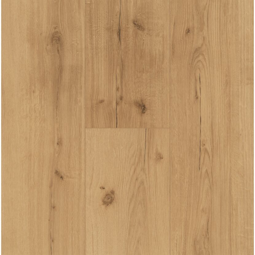 Designboden 'Basic 5.3' Eiche Infinity natur braun 5,3 mm