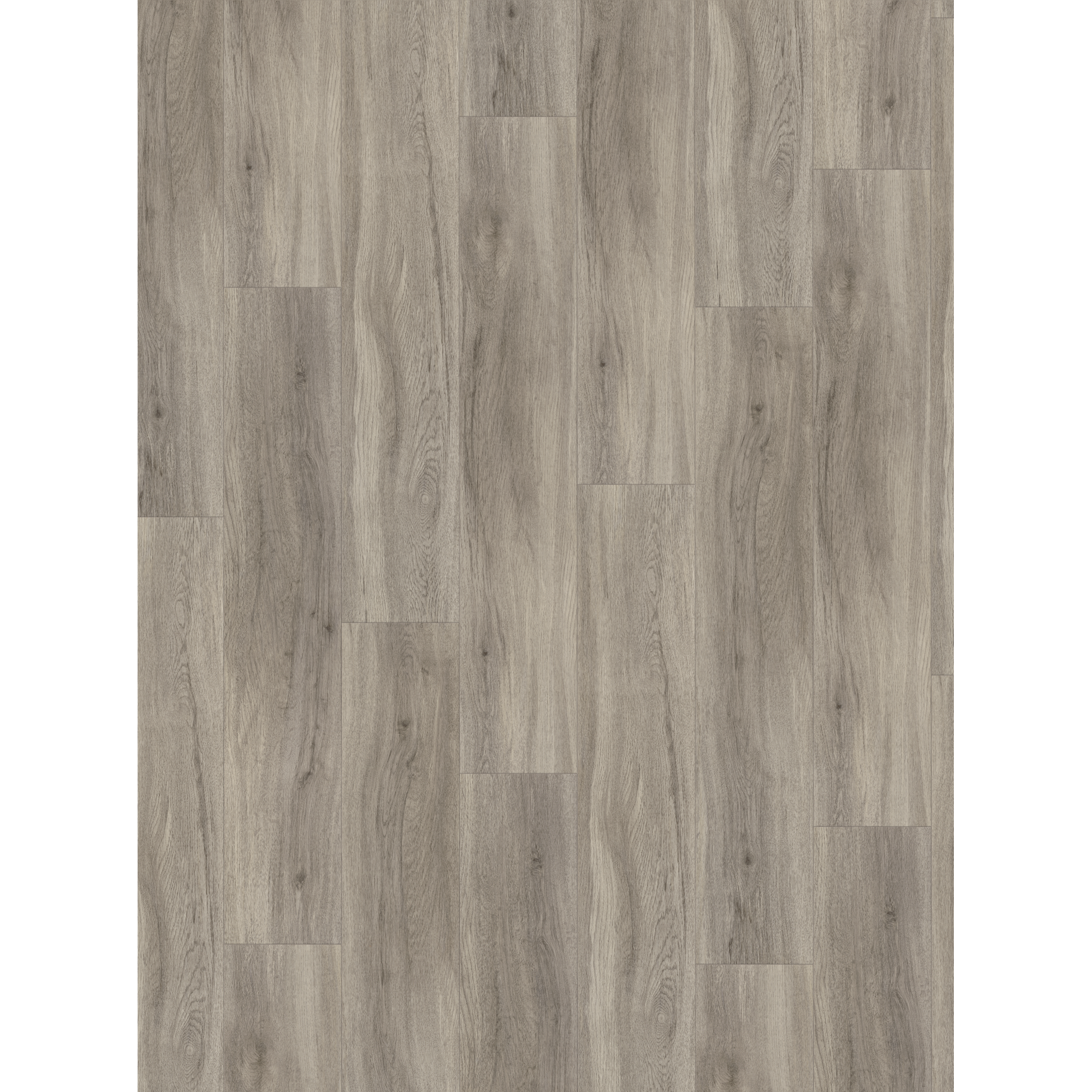 Designboden 'Basic 5.3' Eiche pastellgrau 5,3 mm