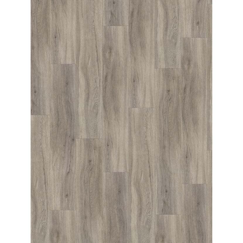 Designboden 'Basic 5.3' Eiche pastellgrau 5,3 mm