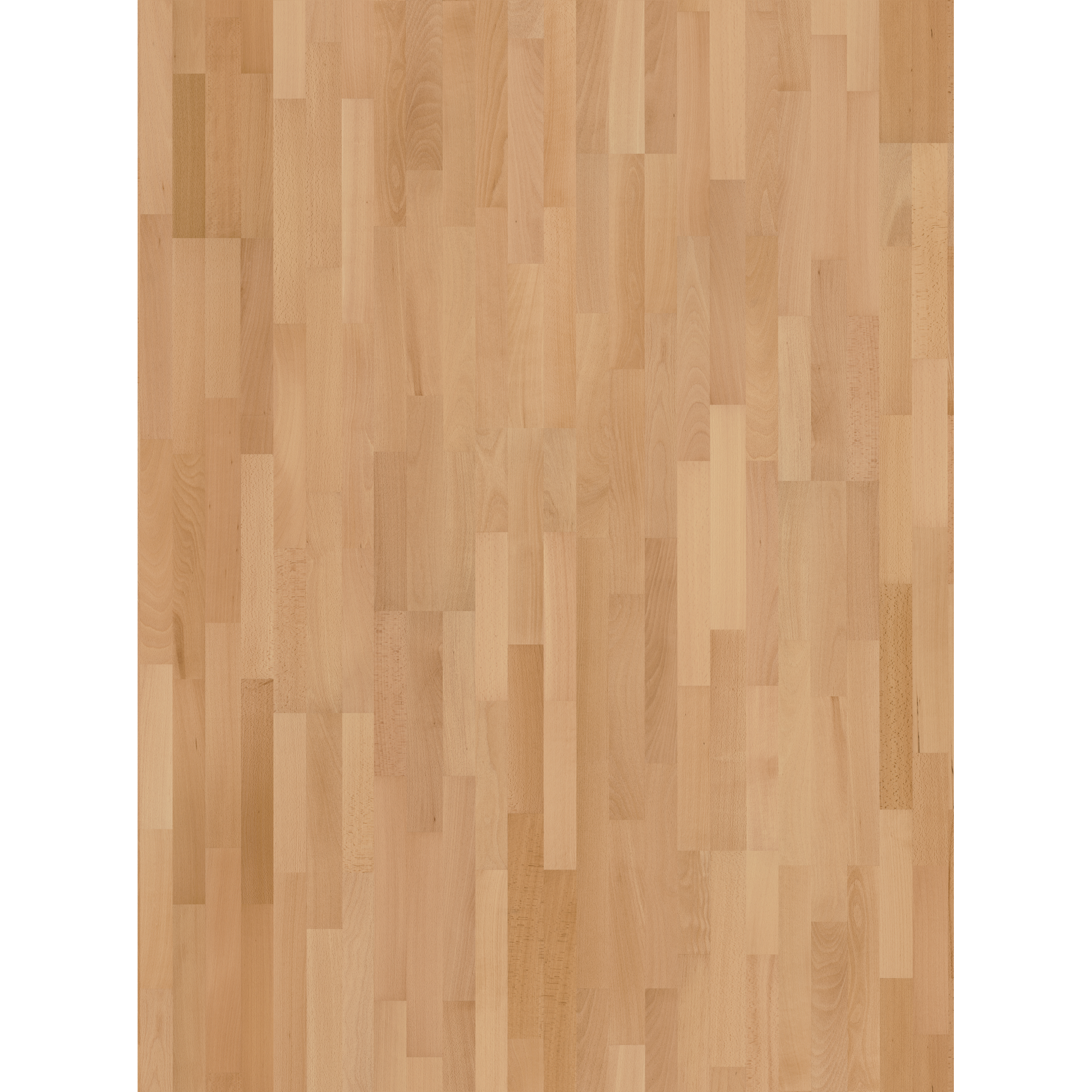 Handmuster zum Parkett 'Basic 11-5' Natur Buche lackversiegelt matt 11,5 mm