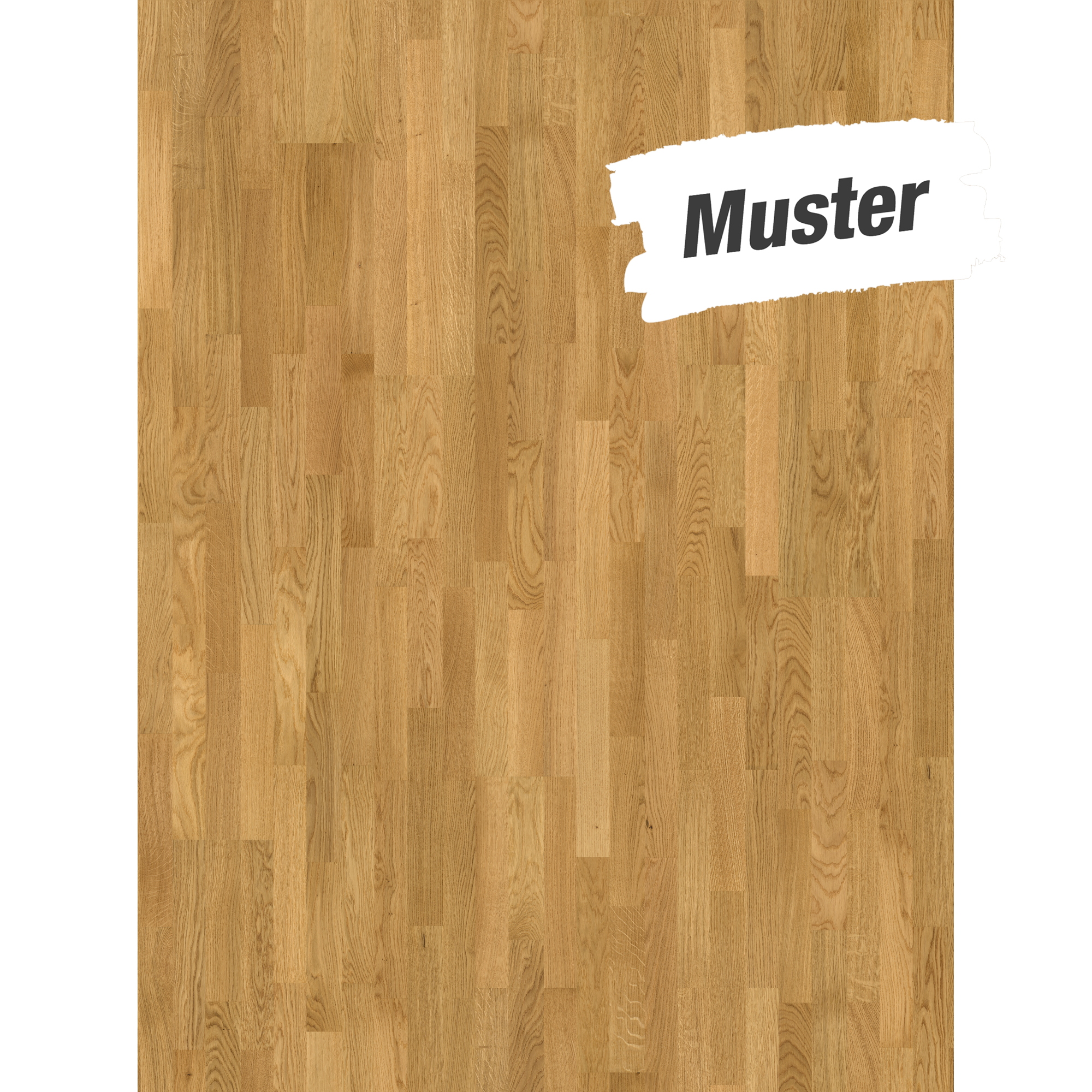 Handmuster zum Parkett 'Basic 11-5' Natur Eiche lackversiegelt matt 11,5 mm