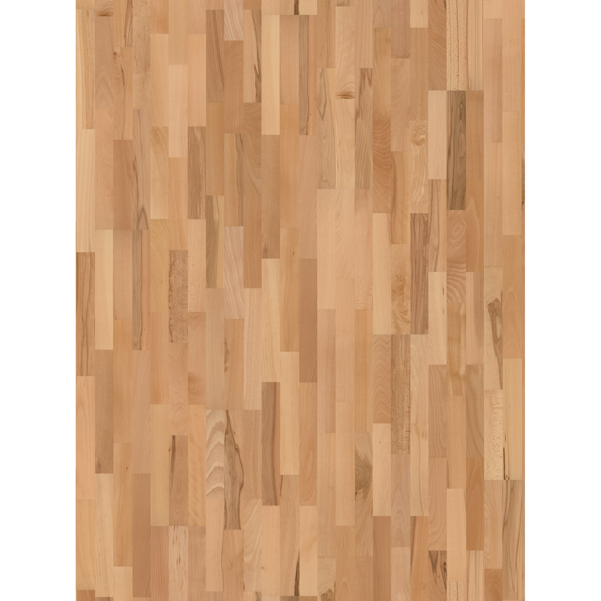 Handmuster zum Parkett 'Basic 11-5' Rustikal Buche lackversiegelt matt 11,5 mm