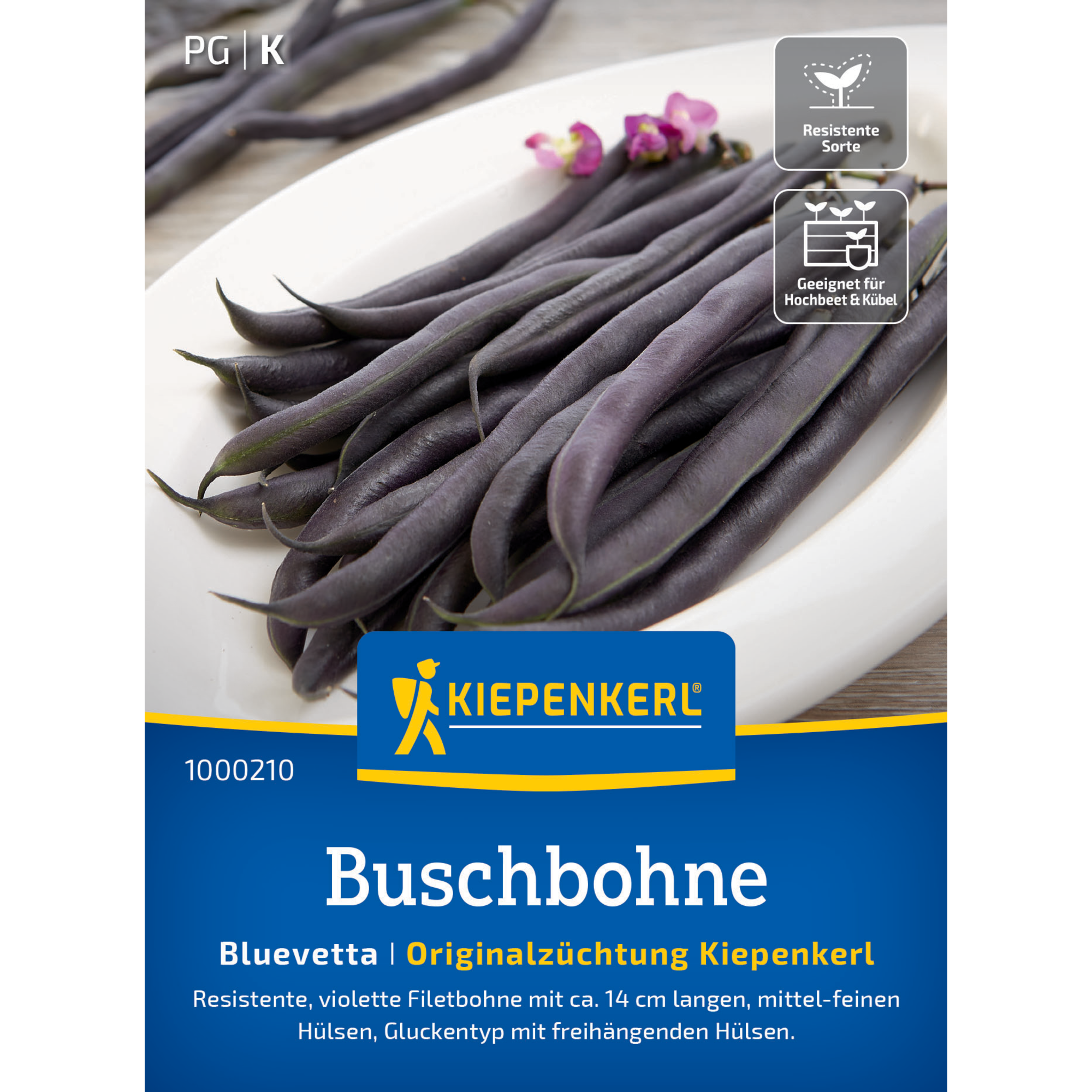 Buschbohne 'Bluevetta'