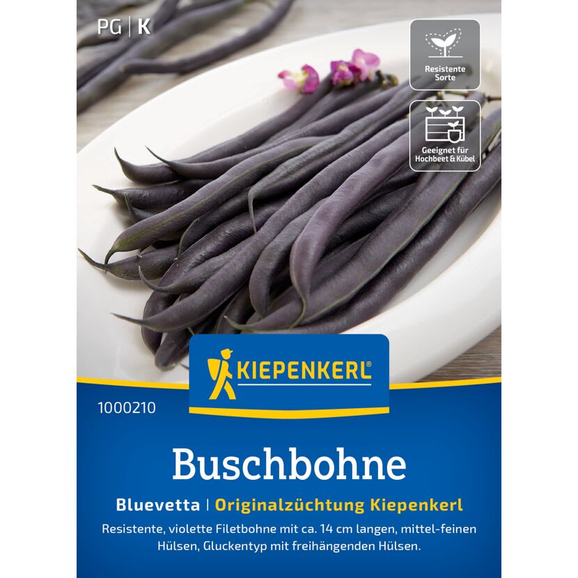 Buschbohne 'Bluevetta'