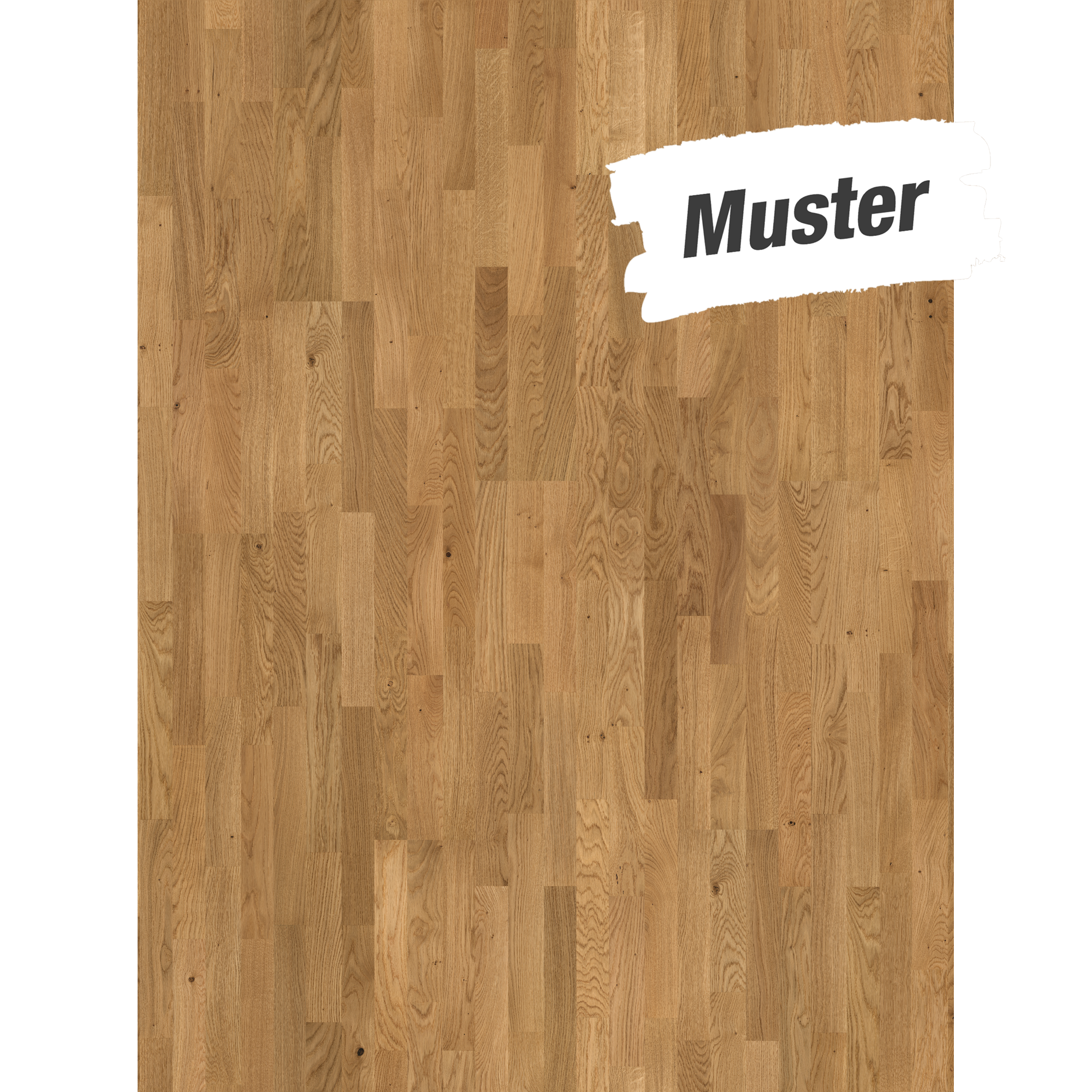 Handmuster zum Parkett 'Basic 11-5' Eiche astig lackversiegelt matt 11,5 mm