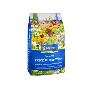 Wildblumen-Wiese 'Profi-Line Premium' 250 g