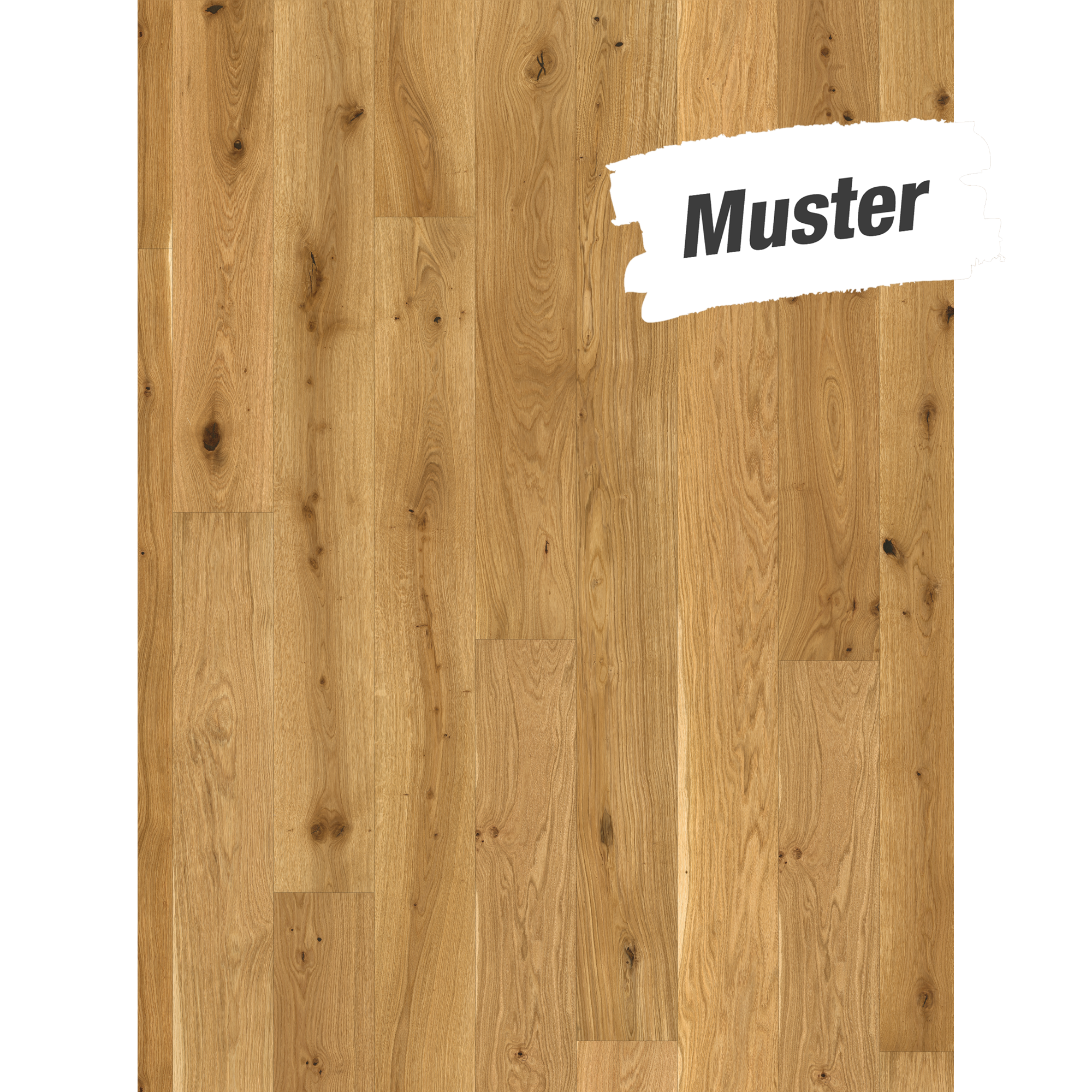 Handmuster zum Parkett 'Basic 11-5' Eiche Rustikal hell gebürstet naturgeölt 11,5 mm