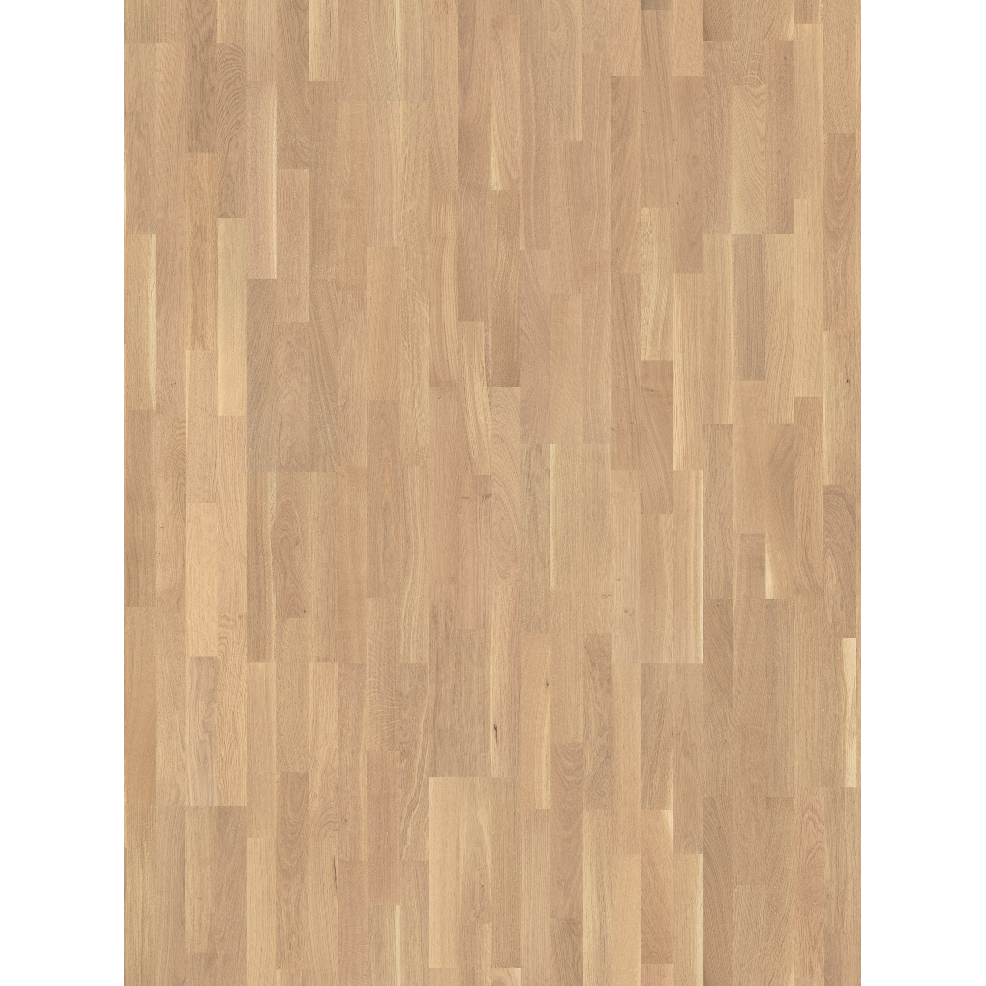 Handmuster zum Parkett 'Basic 11-5' Eiche Rustikal lackversiegelt matt 11,5 mm