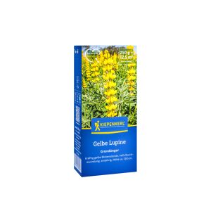 Gelbe Lupine 250 g