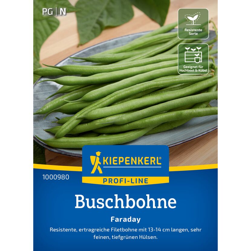 Buschbohne 'Faraday'
