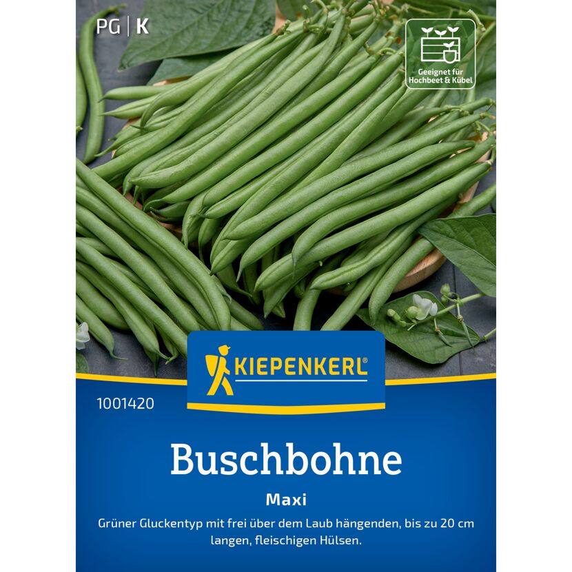 Buschbohne 'Maxi'