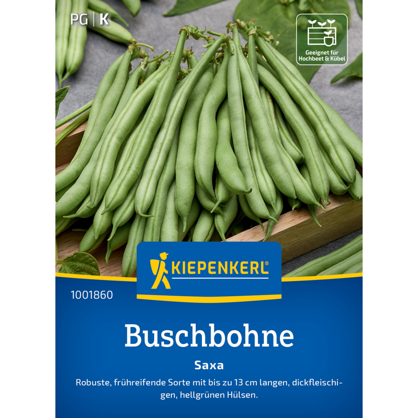 Buschbohne 'Saxa'