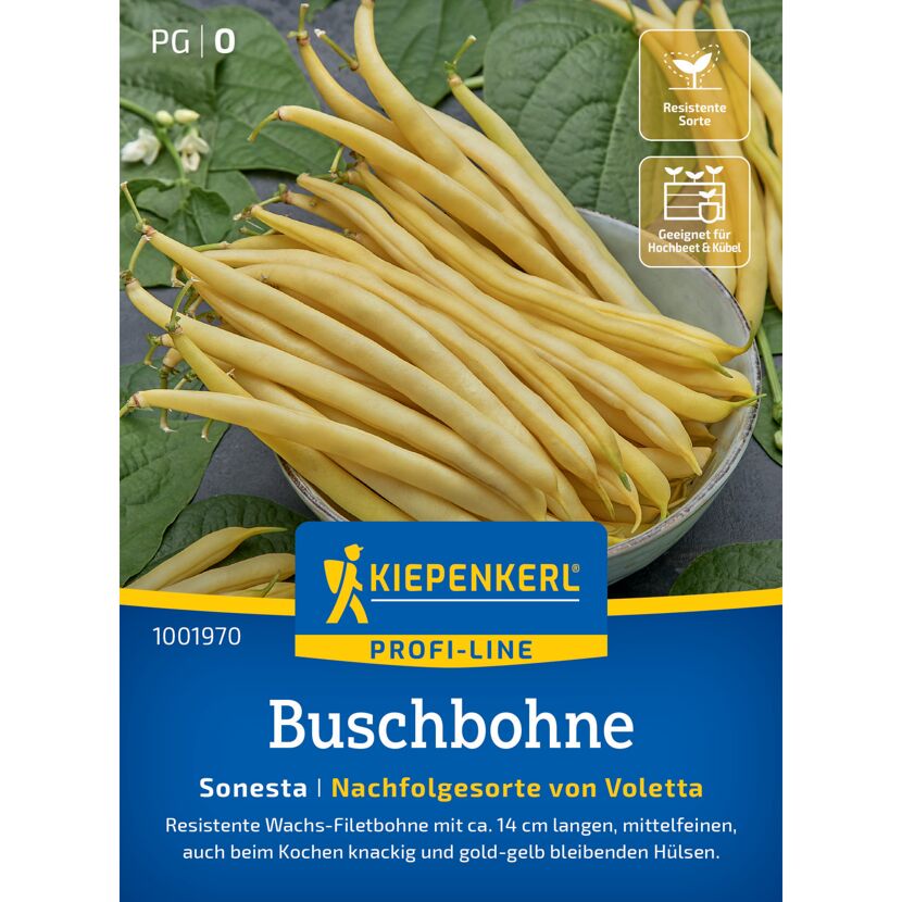 Buschbohne 'Sonesta'