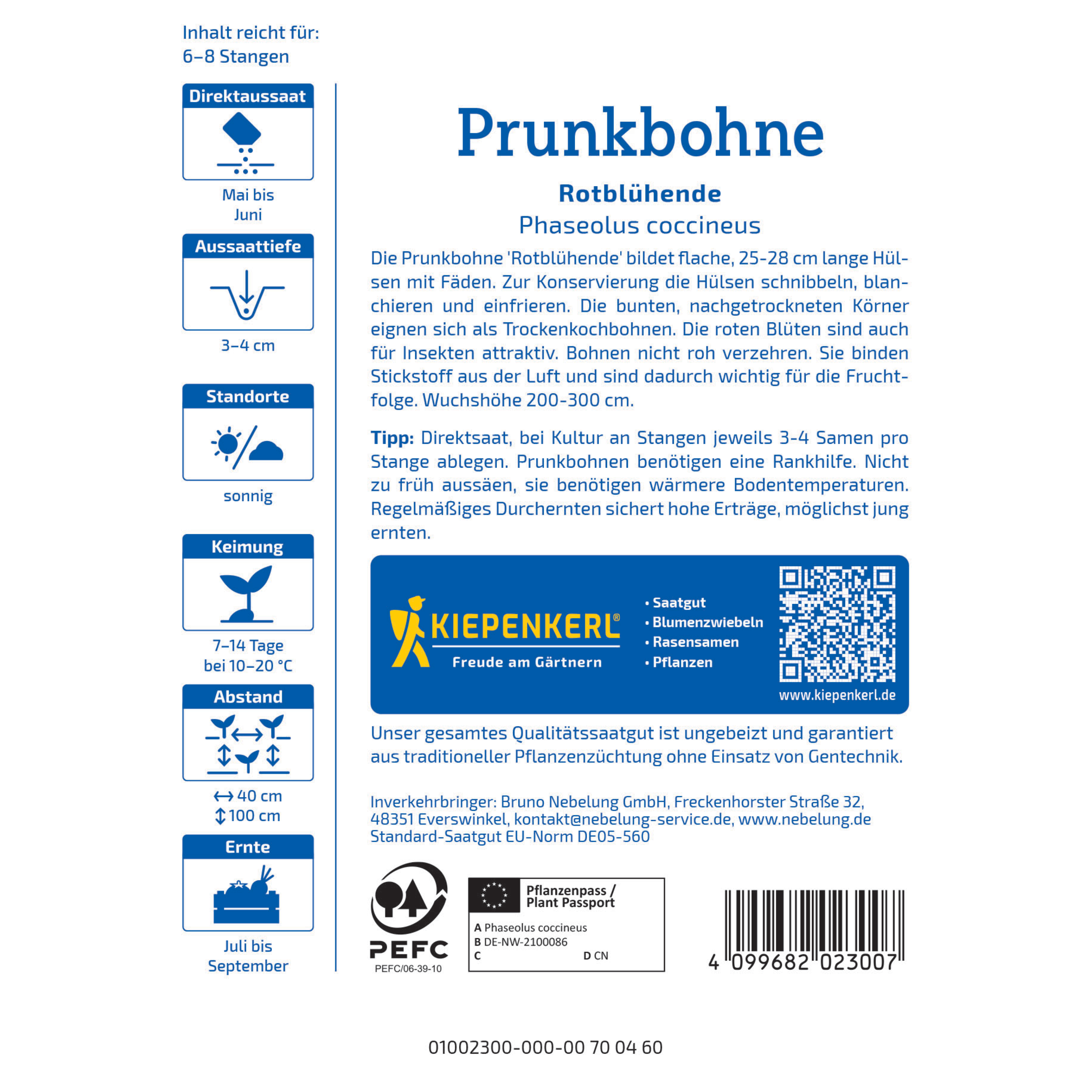 Prunkbohne 'Rotblühende'