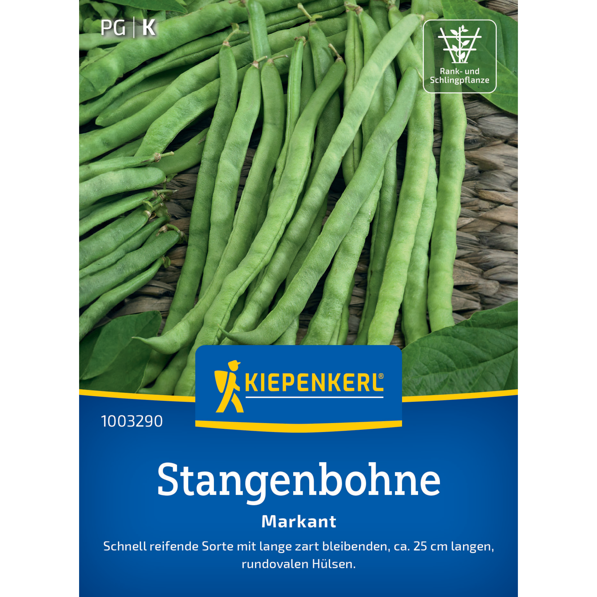 Stangenbohne 'Markant'