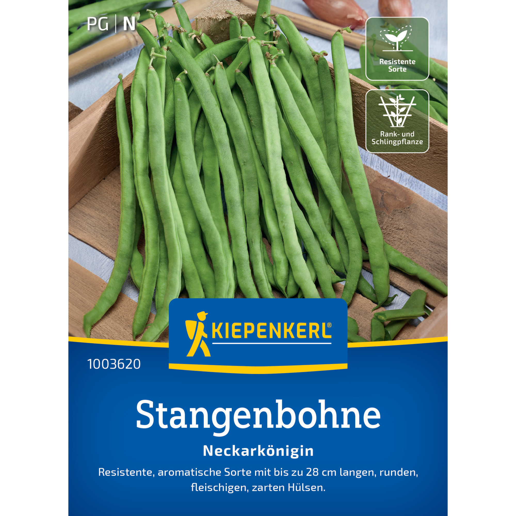 Stangenbohne 'Neckarkönigin'