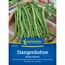 Stangenbohne 'Neckarkönigin'