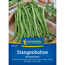 Stangenbohne 'Neckarkönigin'