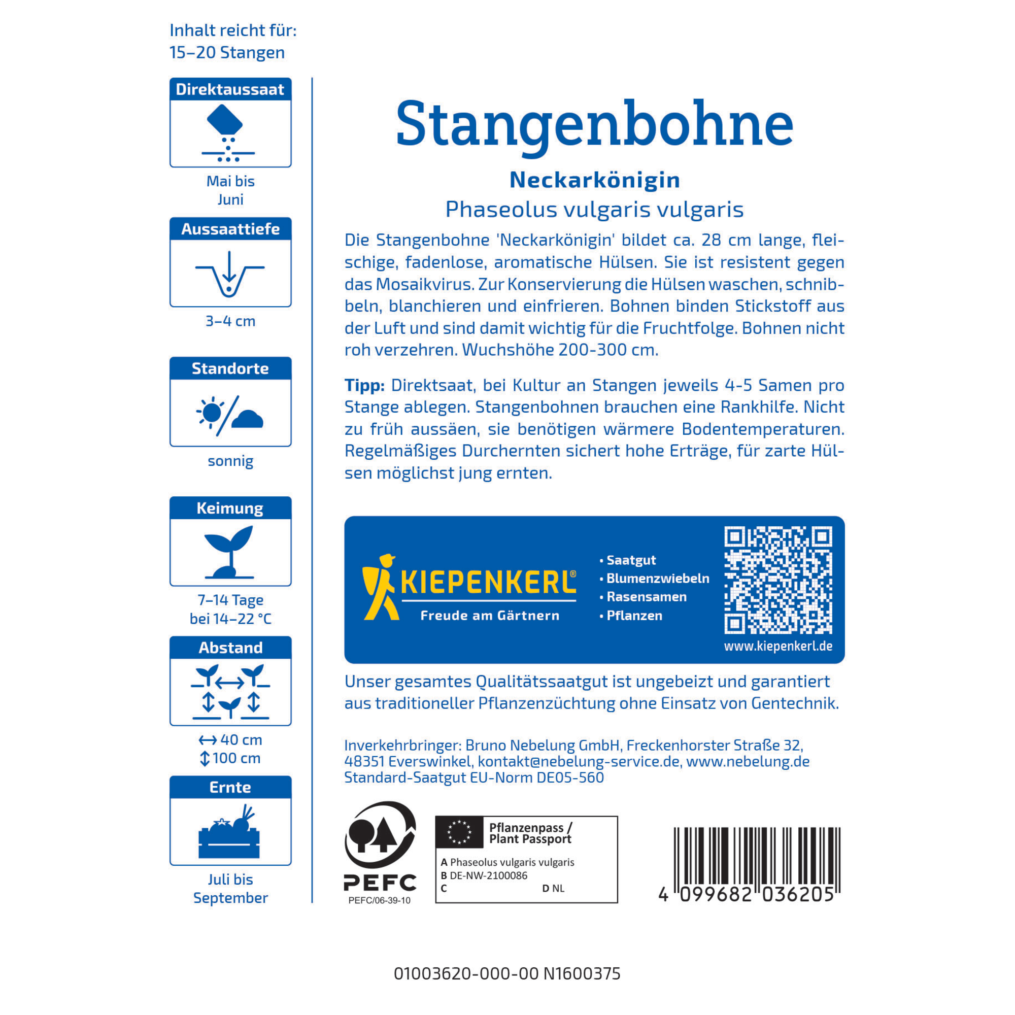 Stangenbohne 'Neckarkönigin'