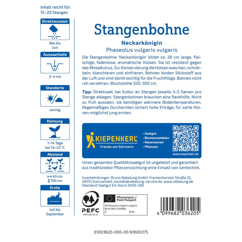Stangenbohne 'Neckarkönigin'